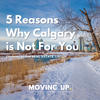 5 Reasons Why Calgary is Not For You