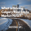 What is Driving Calgary Real Estate Market Now?