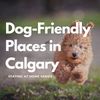 Places that are Dog-Friendly in Calgary