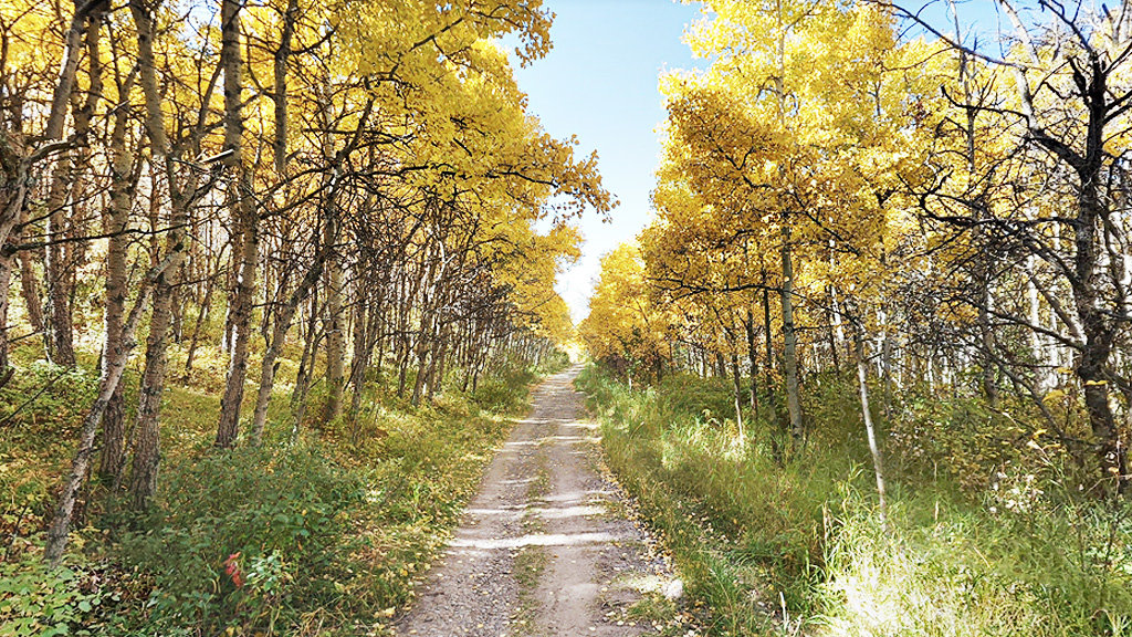 Nose-Hill-Park-Bike-Trail