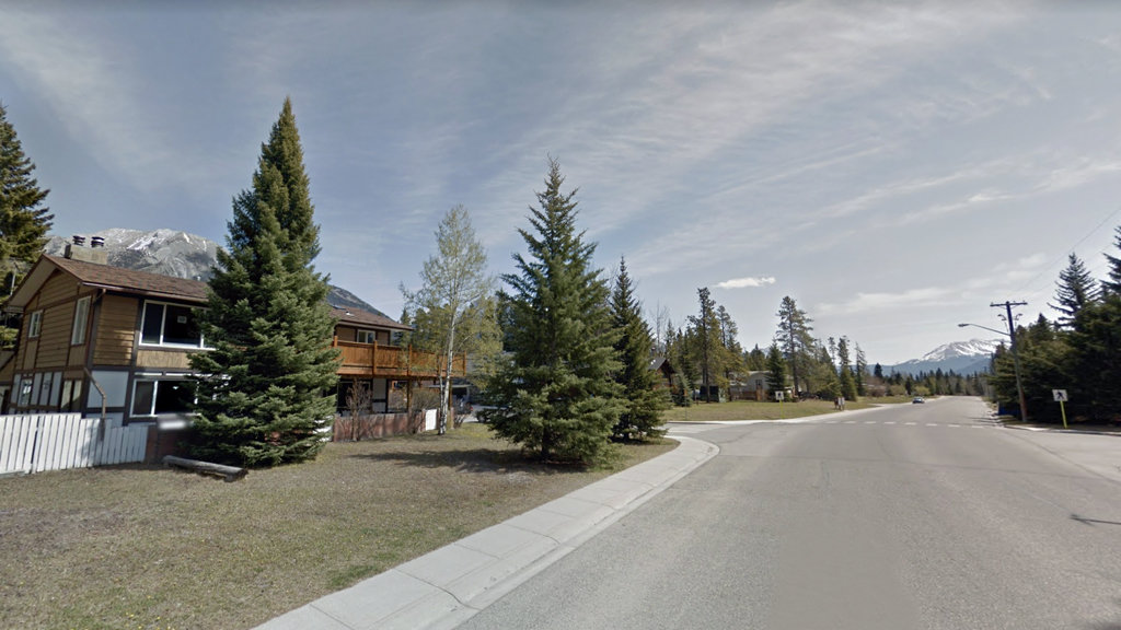 Larch homes for sale Chamberlain Real Estate Team